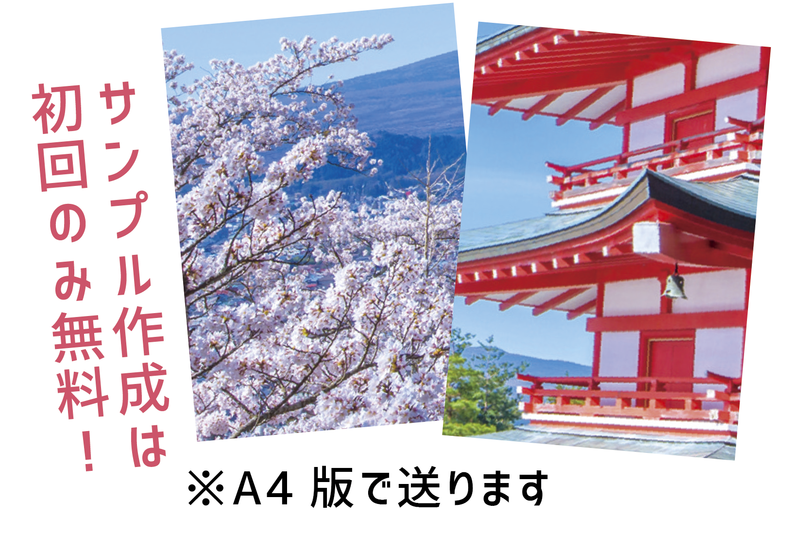 ※サンプル作成は初回のみ無料です。2回目からは出力費と送料は実費となります。